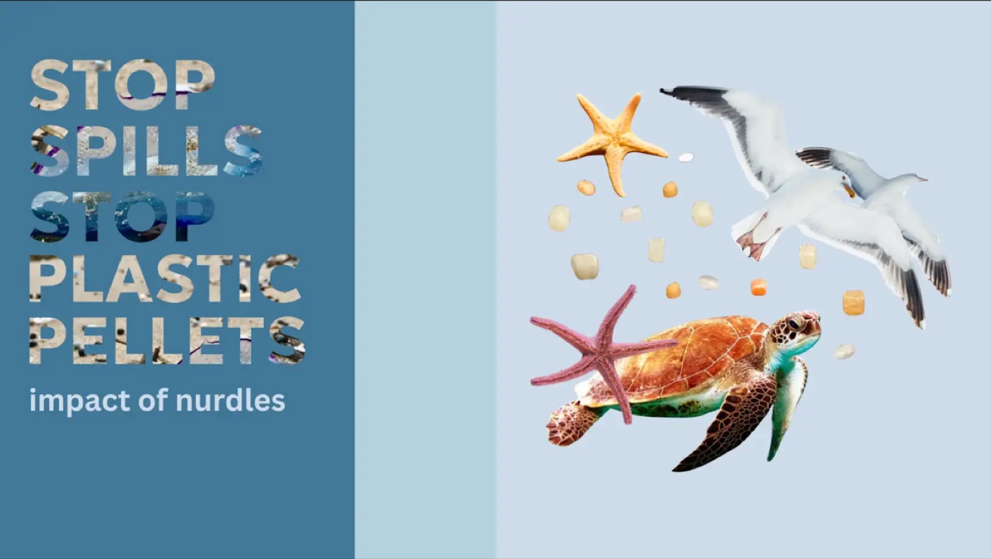 Infographic reading 'Stop Spills, Stop Plastic Pellets — impact of nurdles', with a sea turtle, gulls, starfish and scattered plastic pellets.