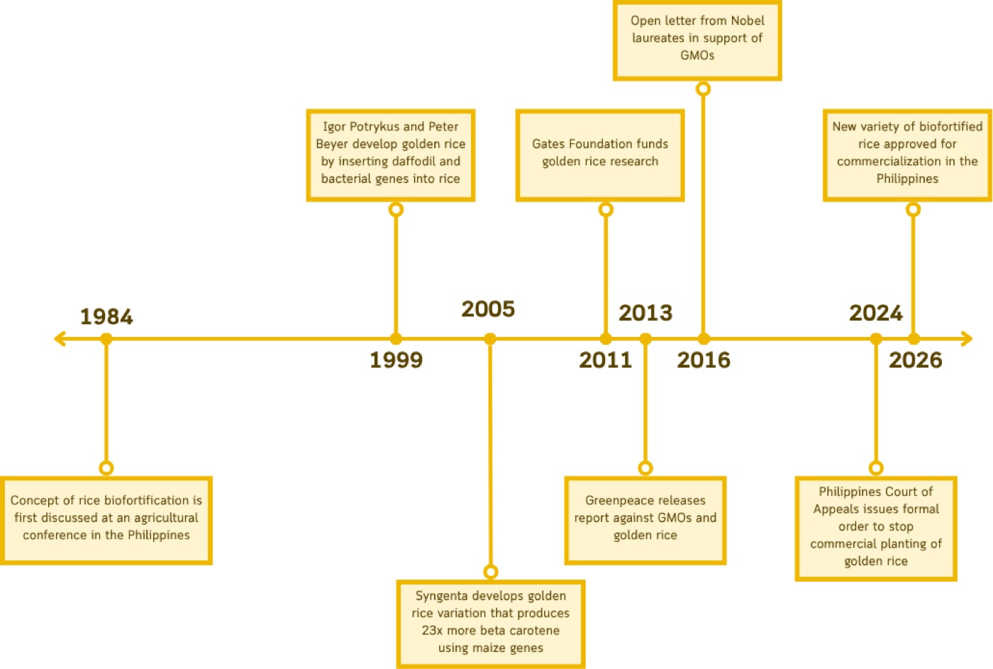 Timeline from 1984 to 2026 marking rice biofortification’s first discussion, Potrykus and Beyer’s golden rice in 1999, Syngenta’s higher-carotene variety in 2005, the Greenpeace report in 2013, Gates Foundation funding in 2011, the Nobel laureates’ letter in 2016, the 2024 Philippine court order, and a new biofortified rice approved in 2026.