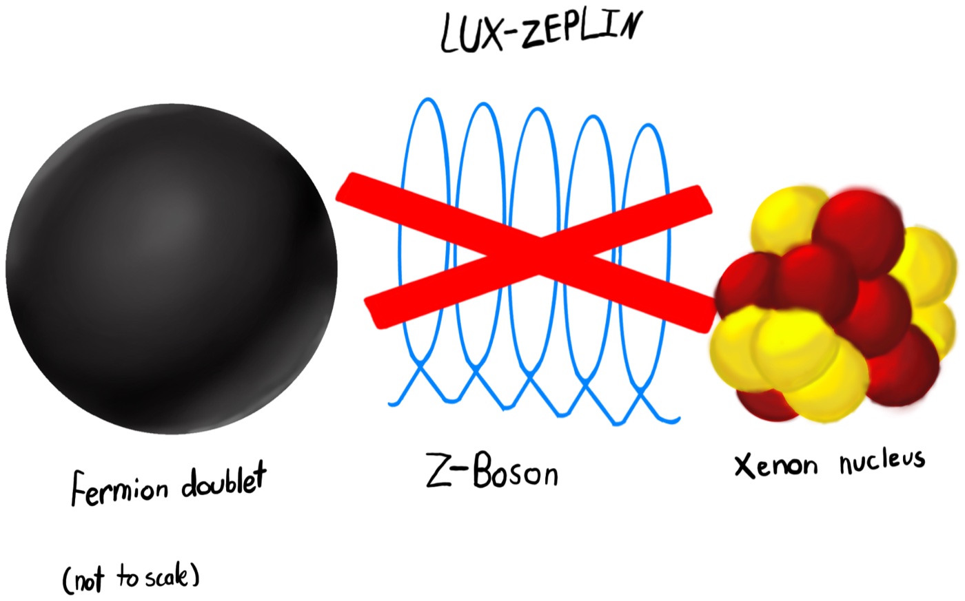 Diagram showing a large black sphere labeled fermion doublet, a blue wave labeled Z-boson struck through with a red X, and a cluster of red and yellow spheres labeled xenon nucleus.